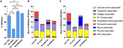 Probiotic Properties of Bifidobacterium longum KABP042 and Pediococcus pentosaceus KABP041 Show Potential to Counteract Functional Gastrointestinal Disorders in an Observational Pilot Trial in Infants